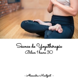 Séance Bilan De Yogathérapie 1H30