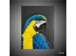 Laurel. Portrait de perroquet Ara bleu en peinture à l'huile