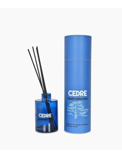 DIFFUSEUR ARTY CEDRE 100ML