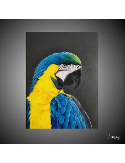 Laurel. Portrait de perroquet Ara bleu en peinture à l'huile