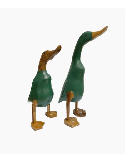 CANARD GRAND MODELE - GREEN