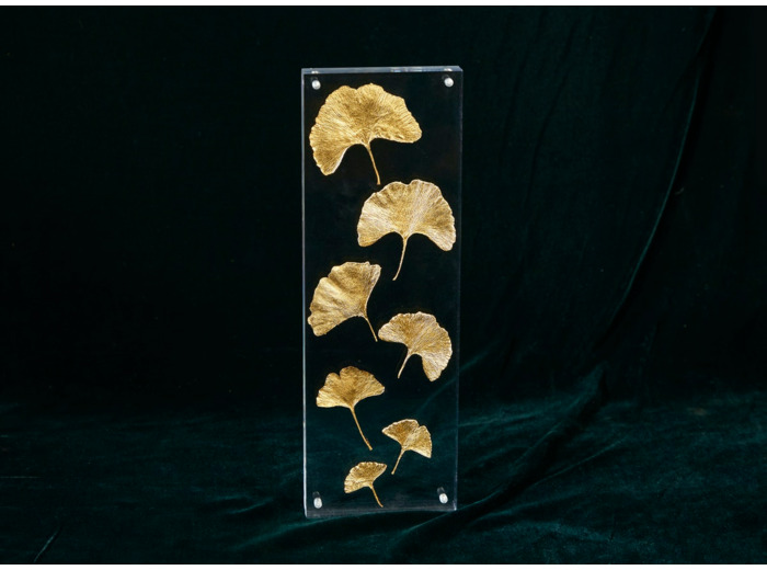 Feuilles De Gingko X6