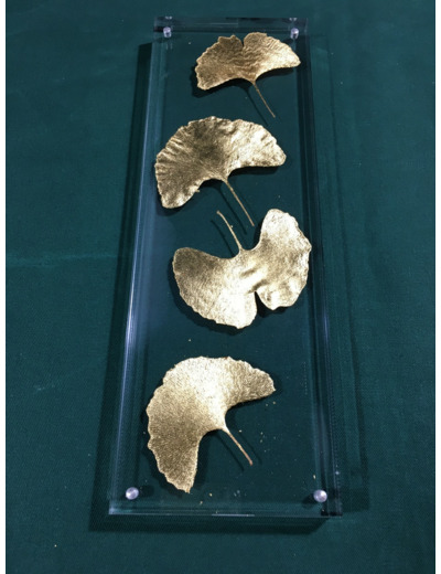 Feuilles De Gingko X4