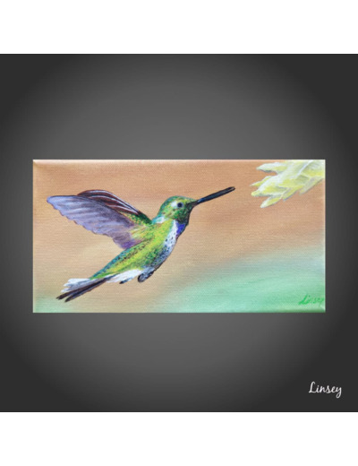 Colibri