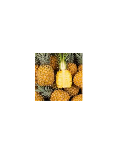 Ananas  pièce