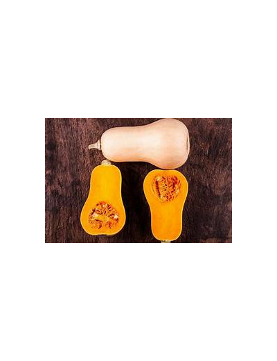 Butternut pièce