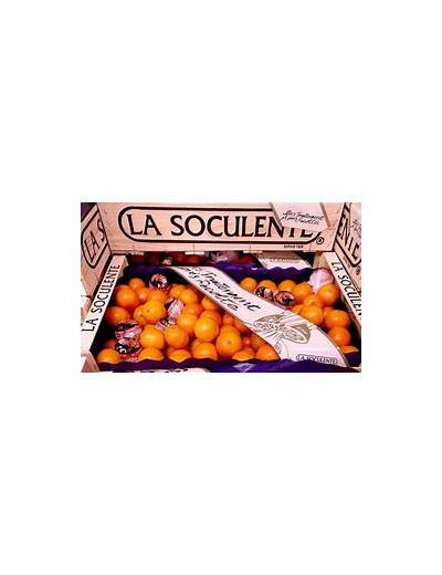 Clémentine Soculente 500 gr