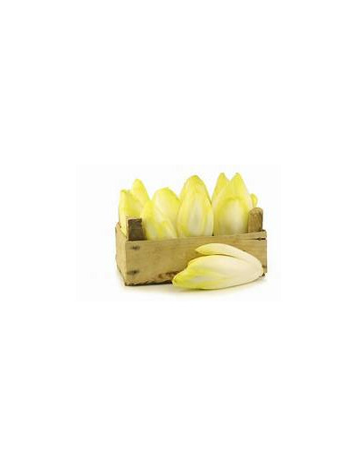 Endives 500 gr