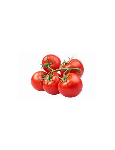 Tomate grappe 500 gr