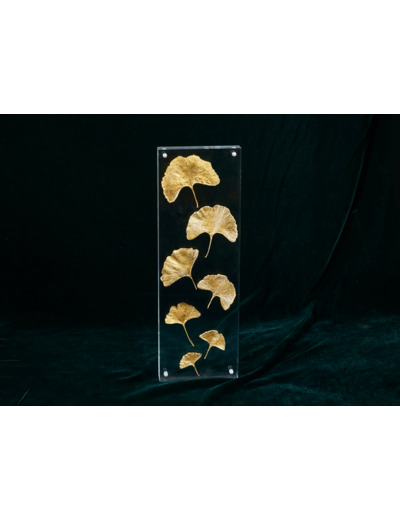 Feuilles De Gingko X6