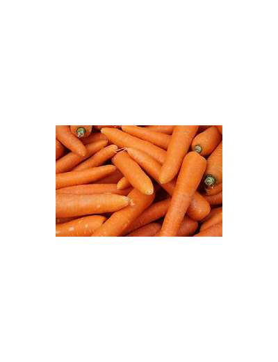 Carottes lavée 500 gr