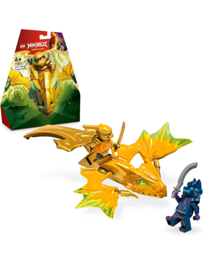 Attaque du Dragon Darin Ninjago