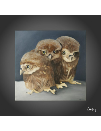 Tableau Les 3 chouettes - Peinture à l'huile