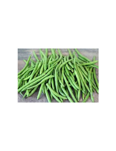 Haricot Vert 500 gr