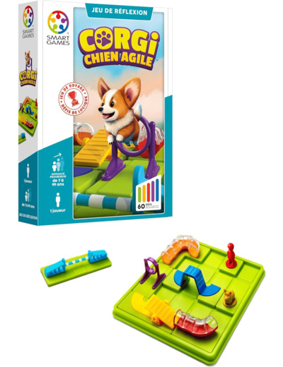 Corgi - Chien agile